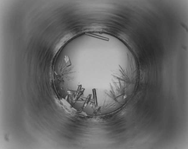 X0000099320994200805161356