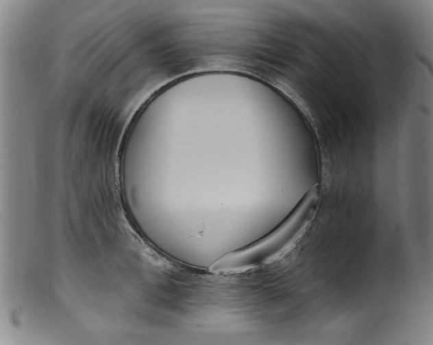 X0000099320996200805161356