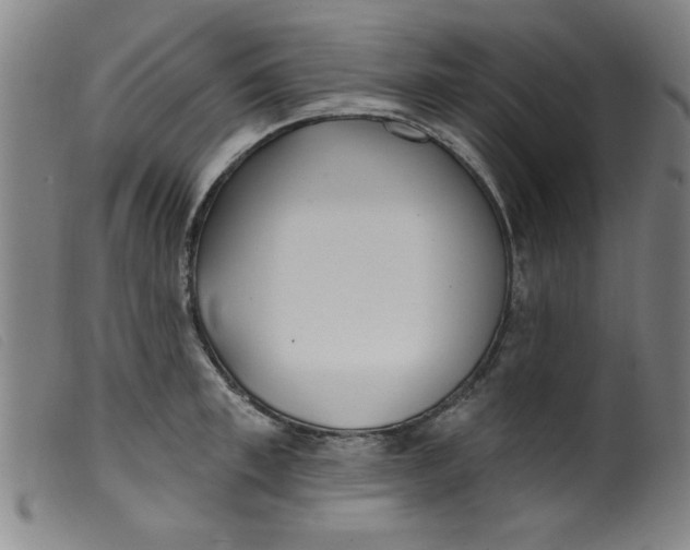 X0000099320997200805161356