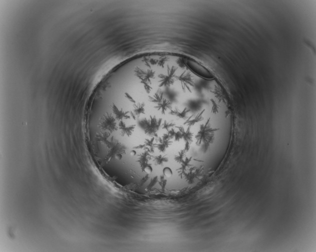 X0000099320998200805161356