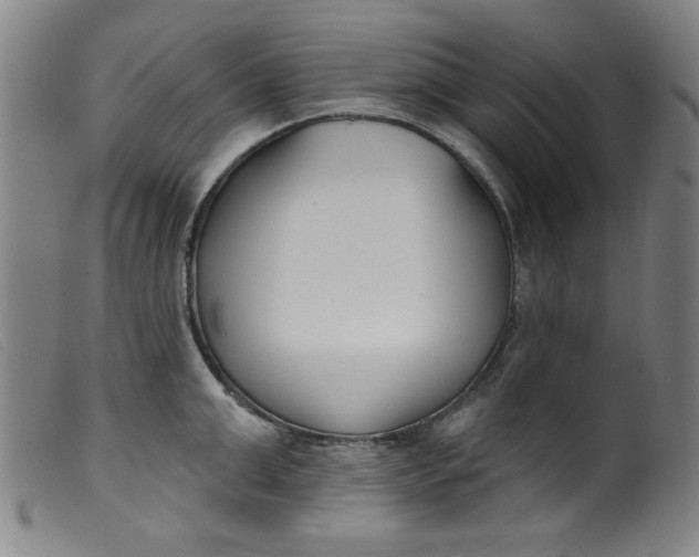 X0000099320999200805161356