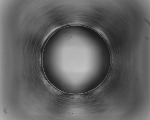 X0000099321000200805161356