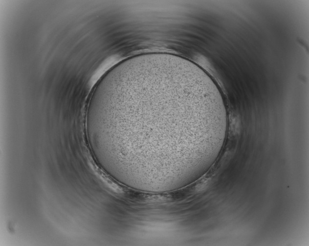 X0000099321002200805161356