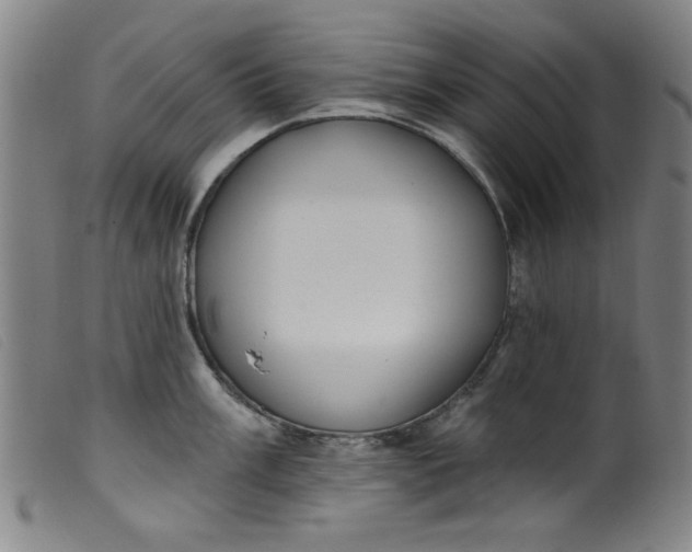 X0000099321003200805161356