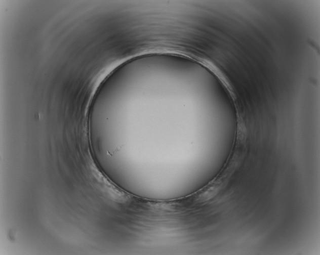 X0000099321004200805161356