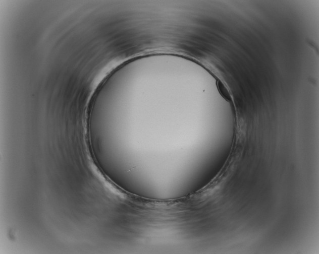 X0000099321005200805161356