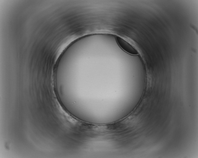 X0000099321006200805161356