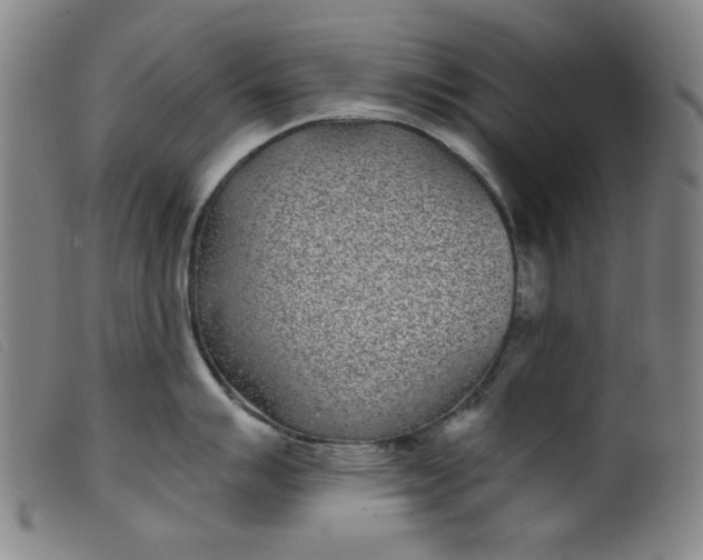 X0000099321007200805161356