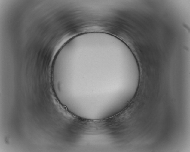 X0000099321008200805161356