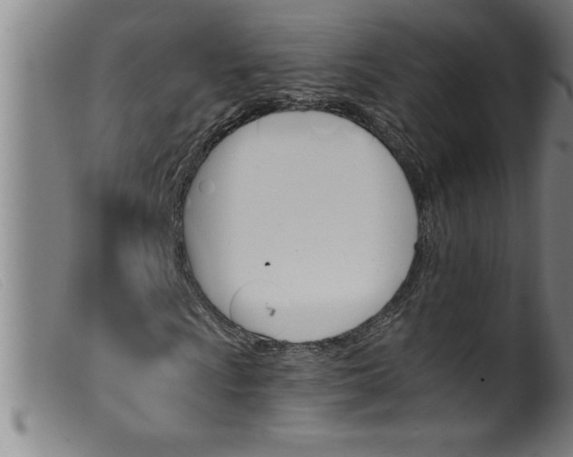 X0000099321009200805161355