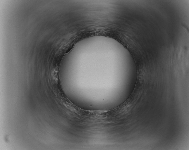 X0000099321010200805161355