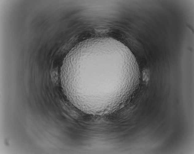 X0000099321011200805161355