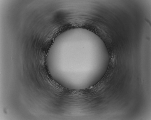 X0000099321012200805161355