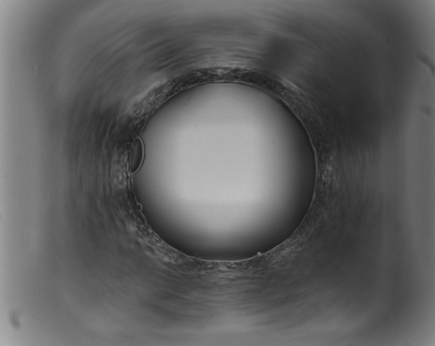 X0000099321014200805161355