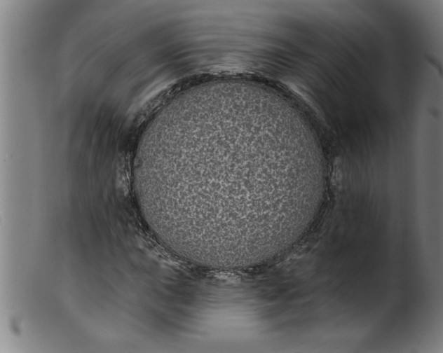 X0000099321015200805161355