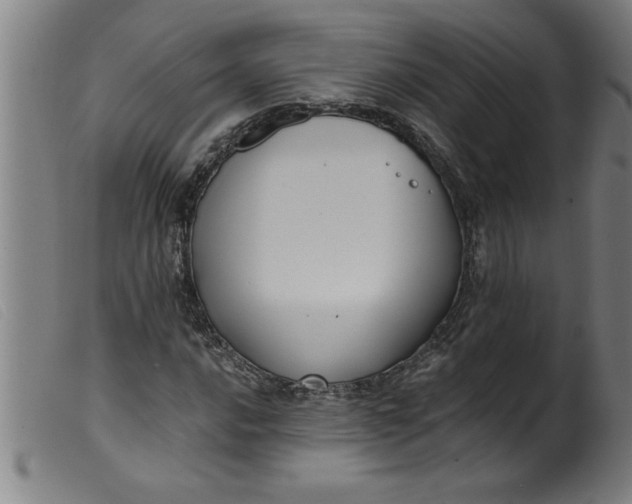 X0000099321016200805161355