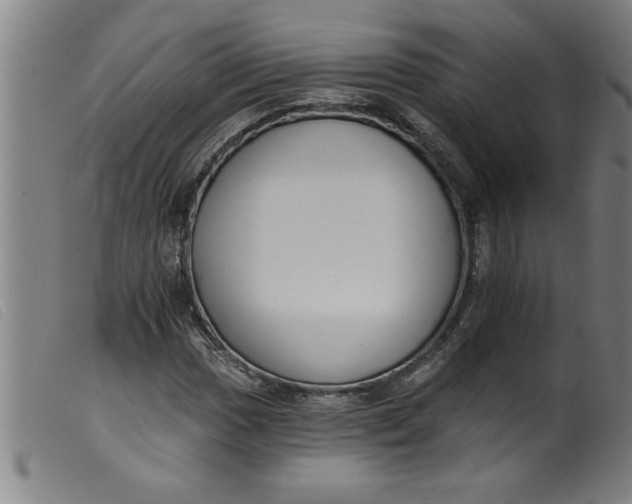 X0000099321017200805161355