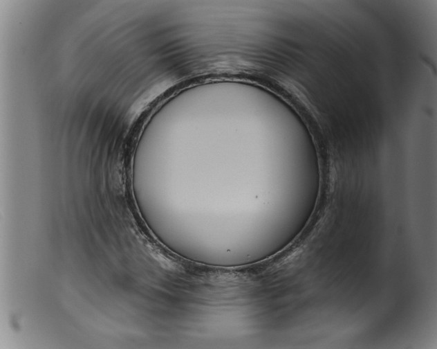 X0000099321018200805161355