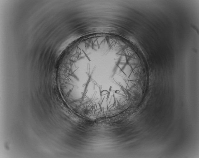 X0000099321019200805161355