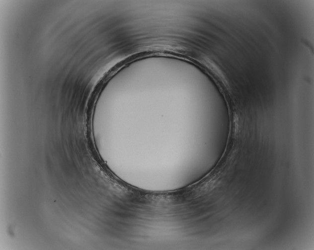 X0000099321020200805161356