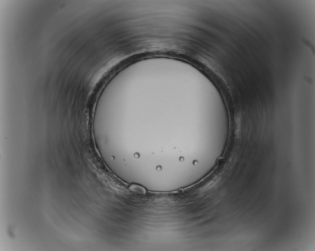 X0000099321021200805161356