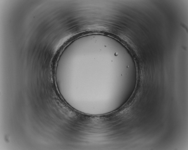 X0000099321022200805161356