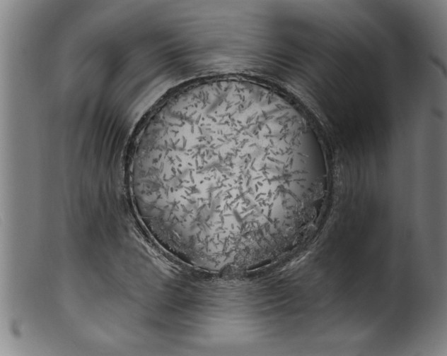 X0000099321023200805161356