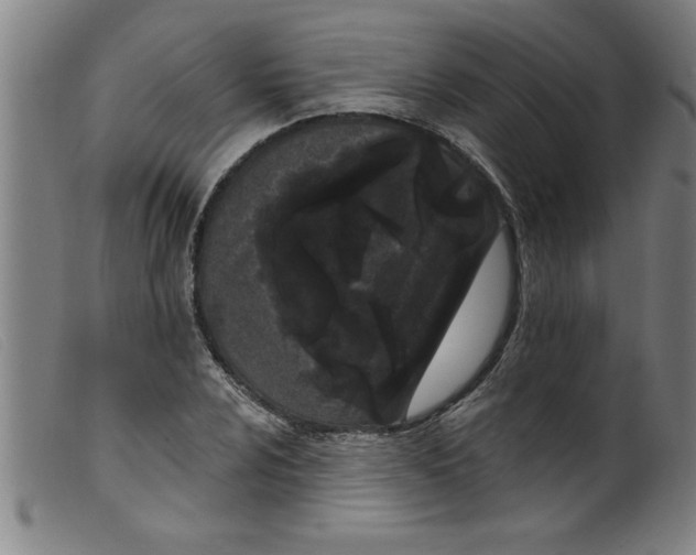 X0000099321024200805161356