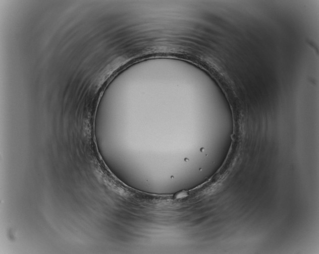 X0000099321025200805161356