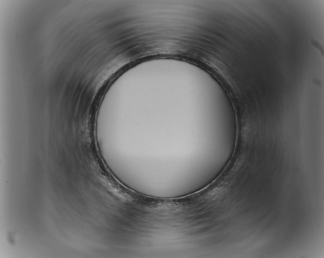 X0000099321026200805161356