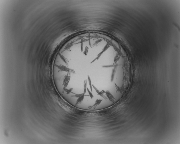 X0000099321027200805161356