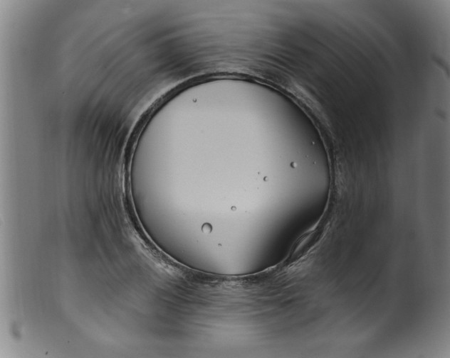 X0000099321028200805161356