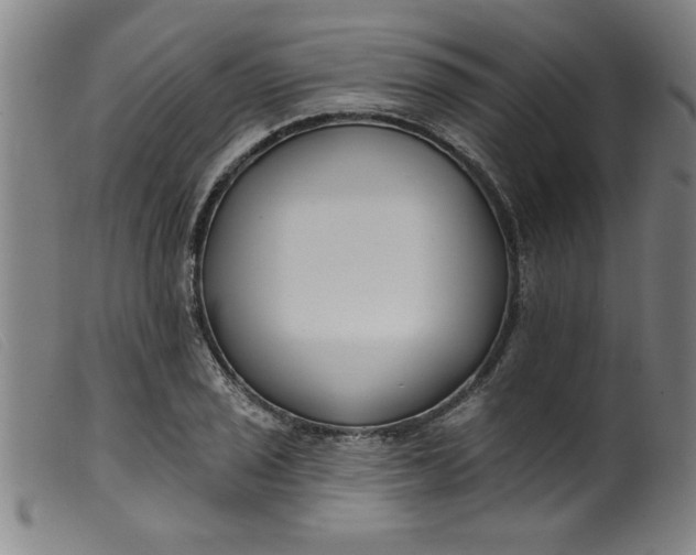 X0000099321029200805161356