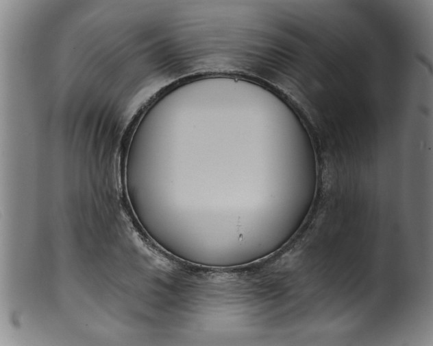 X0000099321030200805161356