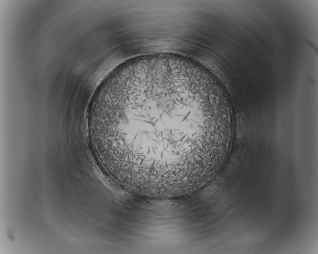 X0000099321031200805161356