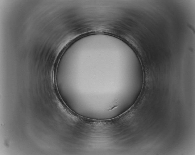 X0000099321032200805161356