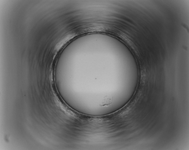 X0000099321034200805161356