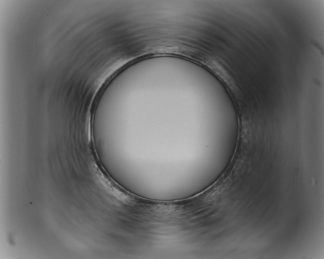 X0000099321036200805161356