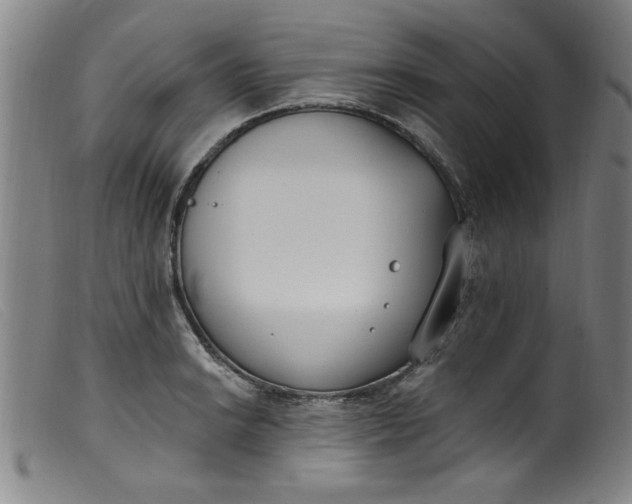 X0000099321038200805161356