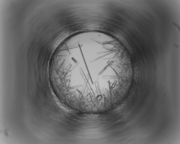 X0000099321039200805161356