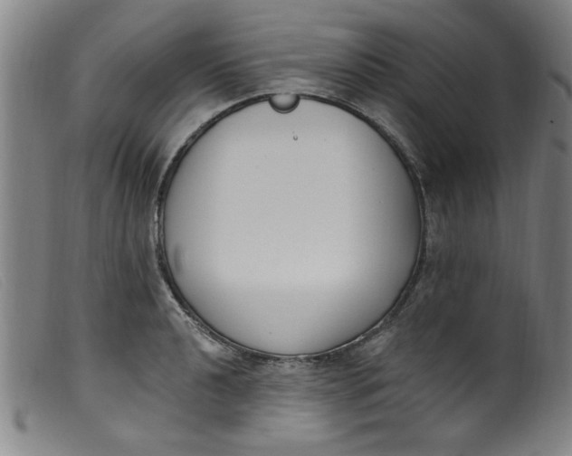 X0000099321040200805161356