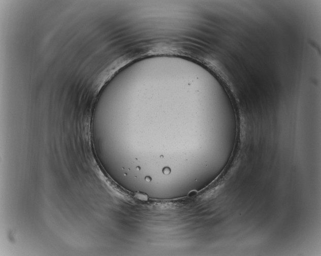 X0000099321041200805161356