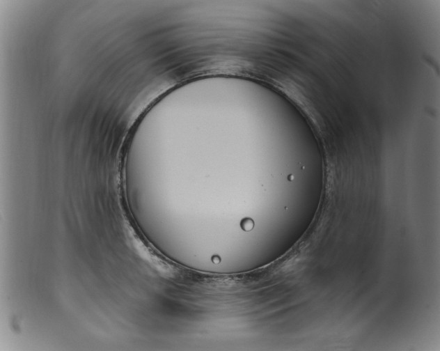 X0000099321042200805161356