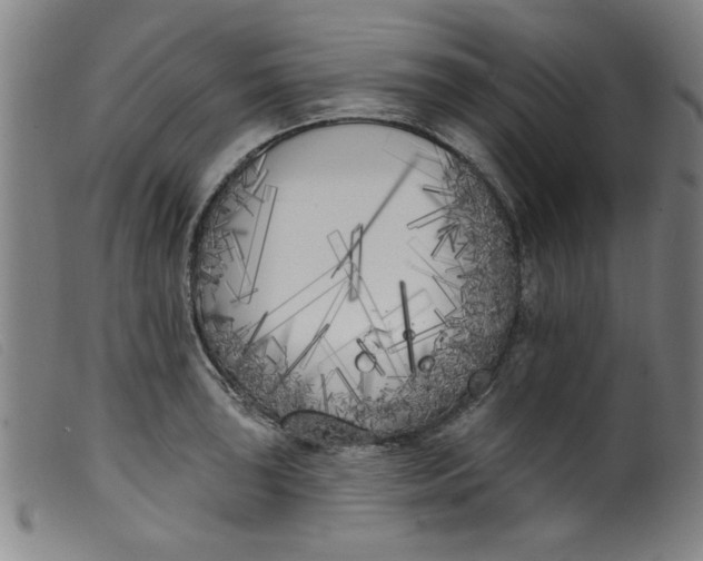 X0000099321043200805161356