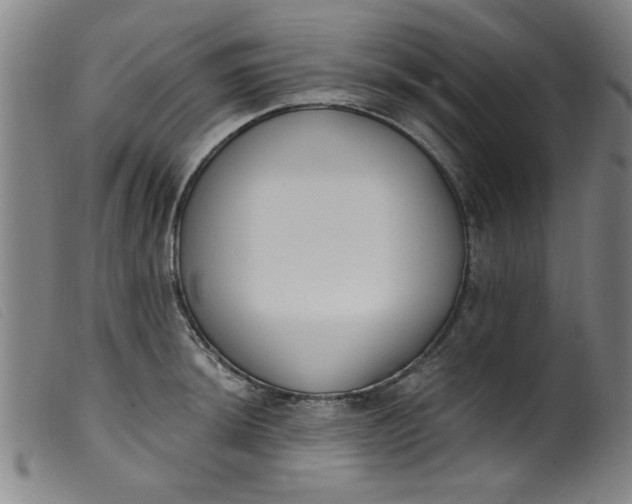 X0000099321044200805161356