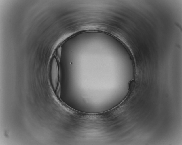 X0000099321045200805161356