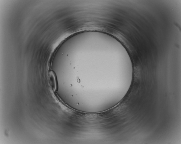 X0000099321046200805161356