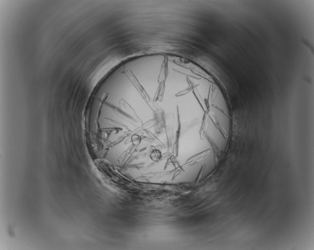 X0000099321047200805161356