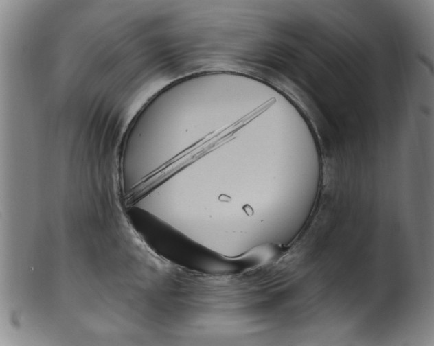 X0000099321048200805161356