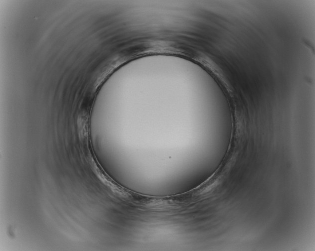 X0000099321049200805161356